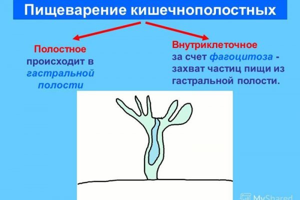 Кракен маркет зеркало