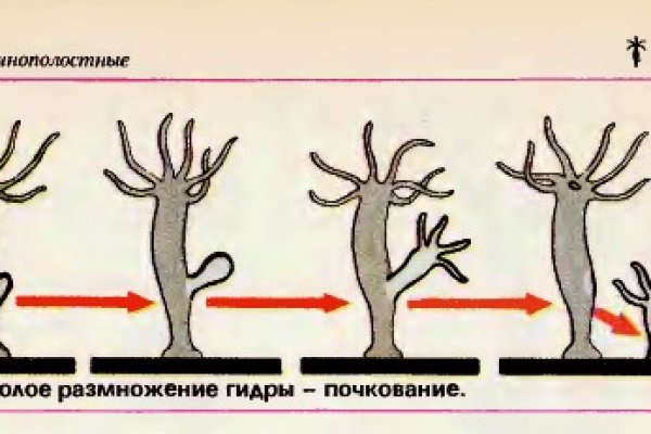 Кракен сайт пишет пользователь не найден