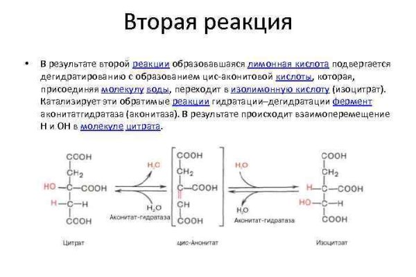 Прямая ссылка на кракен