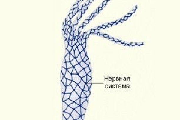 Кракен маркет супернет только через