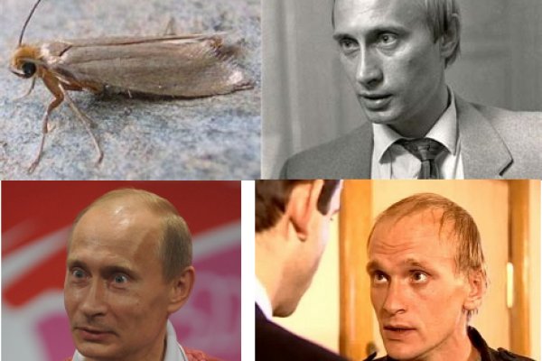 Hydra маркетплейс